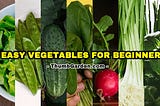 7 Easy Vegetables for Beginners