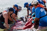 From Selfies to Saviors: How Social Media Rescues Animals in Tourism