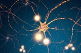 Illuminating Neurons: Designing Dual-Action Luminopsin Plasmids with Benchling Modeling