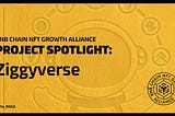 Project Spotlight: Ziggyverse