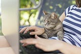 Working from Home Doesn’t Mean Being Alone (But It Does for Me)
