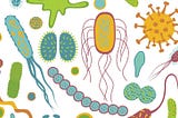 CBD & The Gut Microbiome: The Surprising Connection Between CBD & Our Digestive Tracts