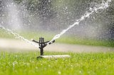 What is the proper way to water my lawn?