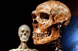 Only 7% of our DNA is unique to modern humans, study says