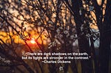 Taking Its Toll On Everyone…See The Light in the Shadows and Keep Reading — Lori Josephson