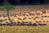 Safaris by Air in Tanzania