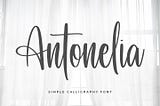 Antonelia Font