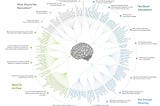 Understanding cognitive biases are important for startups