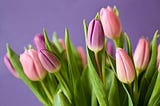 Flower Arranging: How to Get Started. Pink Tulips.