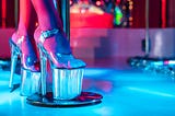 The ‘Stripper Index’: Can Sex Workers Predict Economic Downturns?
