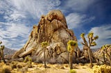 Majesty, Frailty, and Time Exposed in the High Desert