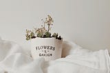 Aesthetic stock image of a white plant pot which says “flowers and garden” that sits upon a bed with white duvet covers. The image is purely for decorative use only to support the blog post on the Sunday Reset Routine.