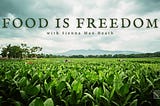 Food is Freedom: A New Interview Series by Sienna Mae Heath on Free the People