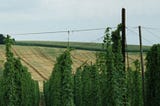 BEER AND BREWERIES OF ALSACE