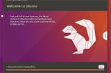 The Ubuntu Installation Guide