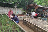 Diskusi dan Praktek Penanaman Bawang Merah di Pekarangan Rumah