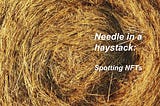 Needle in a haystack: Spotting NFTs