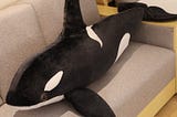 Black Whale Shark Plush