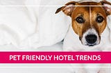 Why Your Hotel Needs To Be Pet Friendly