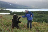 What the Aesthetic Tastes of Bears Say About People