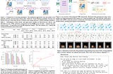 Paper Review: Visual Planning: Let’s Think Only with Images