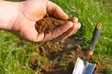 Steps for Sampling and Improving Your Soil