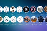 Evolution of Mac OS