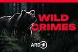 True Crime trifft Artenschutz: In 5 Schritten zum zielgruppengerechten Podcast-Format