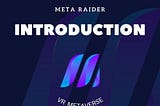 Introduction to Meta Raider