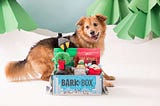 Finally, Something Dogs Can Bark About