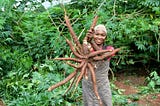 IMPROVING THE ENTREPRENEURIAL ORIENTATION OF YOUNG FEMALE AGRIBUSINESS OWNERS IN BENIN