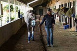 ​Winter Horse Health: Tips for Managing Biosecurity in Open Barns