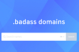 Step-by-Step Guide to Registering a .BADASS Name