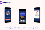 Designing an MVP e-learning app for Anemo start-up