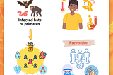 A Closer Look at Bundibugyo Ebola Virus Disease