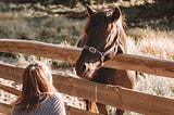 A crouching lady looks up at a horse who is stood the other side of a fence.