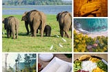 Visit Sri Lanka!