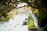 A river with a two boats on it and some ducks swimming around. A tree is on the side of the river and has lamps hanging from it. There is grass at the base of the tree leading to the river