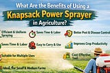 What Are the Benefits of Using a Knapsack Power Sprayer in Agriculture?