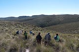 Celebrating Haarwegskloof Renosterveld Reserve