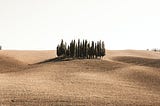 Trees + Desert = Green