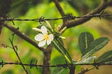 5 Steps HR Leaders Can Take to Fight Modern Slavery