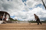 The rise of Honduran Coffee