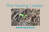 THE HEALING LEADERS