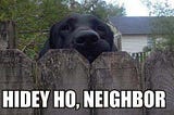 The ‘Nosy Neighbor’ Algorithm: kNN — Get Ready for k-Nearest Snoops (kNS)!