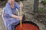 An old woman outside in a blue dress and apron stirring a large pot of peppers with a giant wooden paddle over on a wood stove.