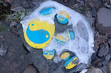 Painted rocks in blue and yellow indicating support for Ukraine