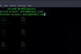Unicode Normalization Leads to Account Takeover