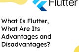 What Is Flutter, What Are Its Advantages and Disadvantages?