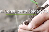 Buying Real Estate? Beware Of Polluted Sites!